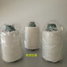  泰兴市光源电磁线有限责任公司 主营 双玻璃丝包线 变压器