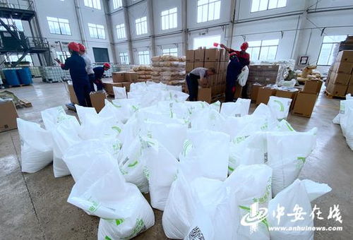 铜陵经开区 项目为王 打造高质量发展开发园区