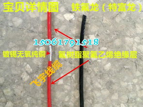 1.0平方铁氟龙高温电线 上海飞宇高温电线 耐腐高温导线 电磁线图片,1.0平方铁氟龙高温电线 上海飞宇高温电线 耐腐高温导线 电磁线高清图片 无锡板桥电热电器,